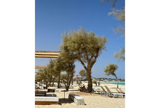 8314853 - الصورة الرئيسية للعقار