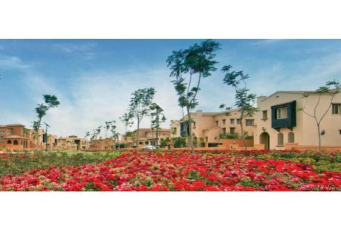 8334403 - صورة العقار 2