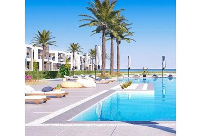 8392882 - صورة العقار 2