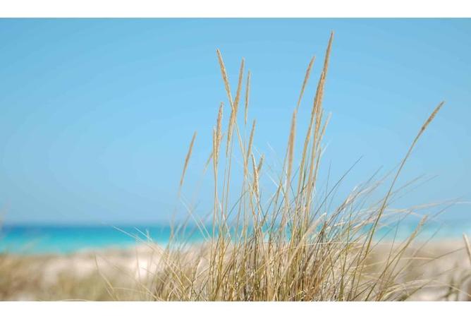 8363303 - صورة العقار 3