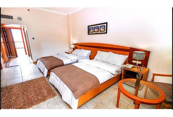 8014614 - Property Image 3