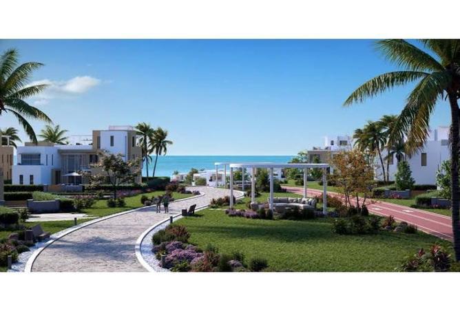 8373945 - صورة العقار 3