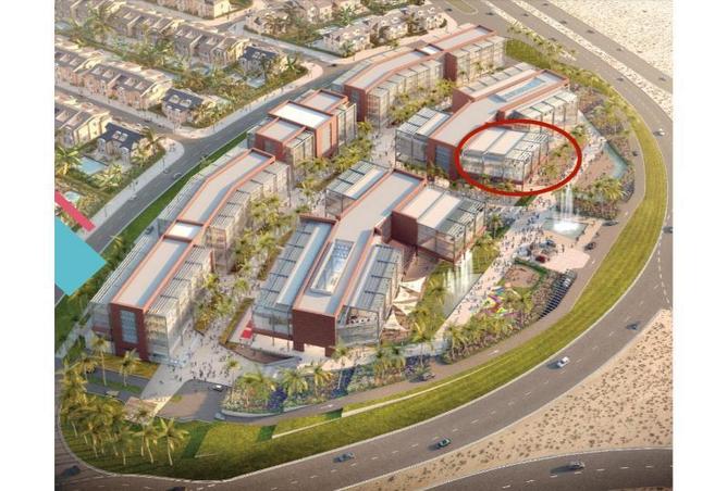 8339863 - صورة العقار 3