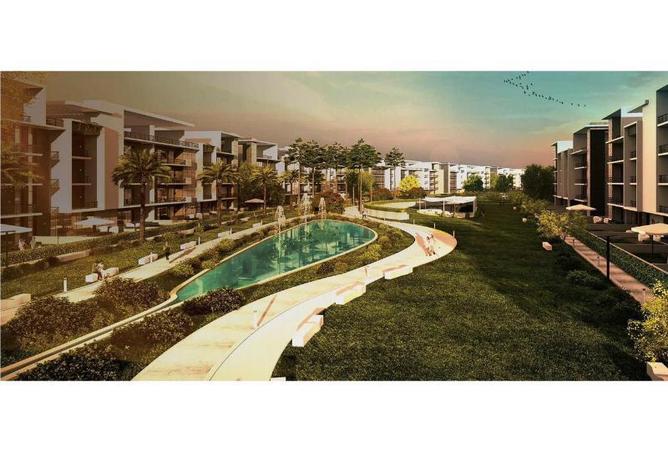 8312156 - Property Image 3