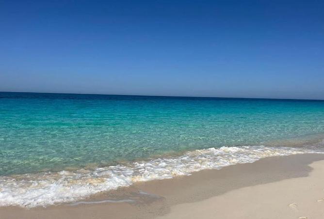 8398703 - صورة العقار 3