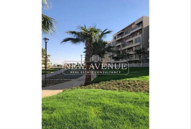 8270141 - Property Image 2