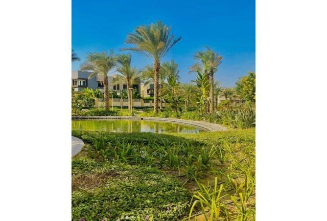 8379787 - Property Image 3