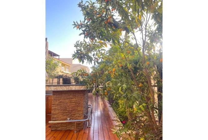 8269721 - Property Image 3