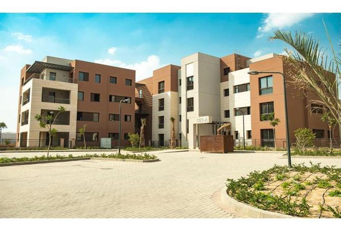 8243858 - Property Image 2