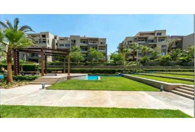 8338273 - Property Image 3