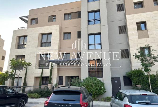 8243966 - Property Image 3