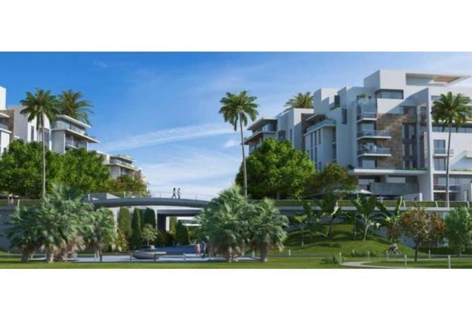 8402605 - صورة العقار 3