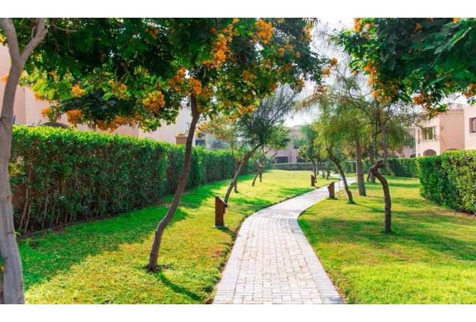 8292338 - صورة العقار 3