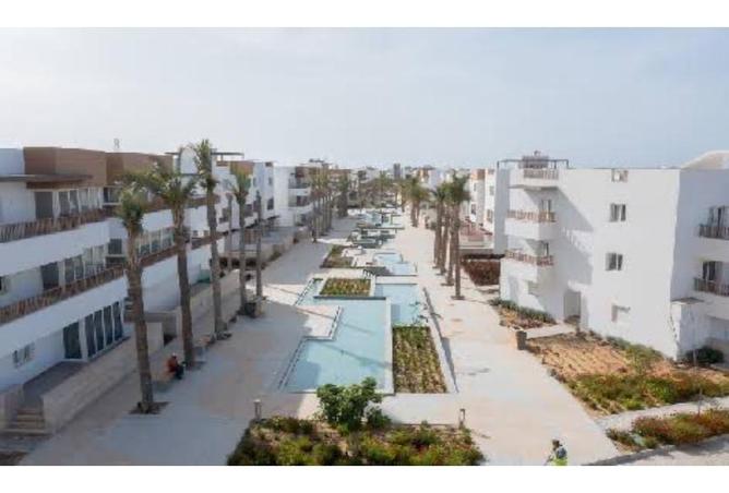 8379462 - صورة العقار 3