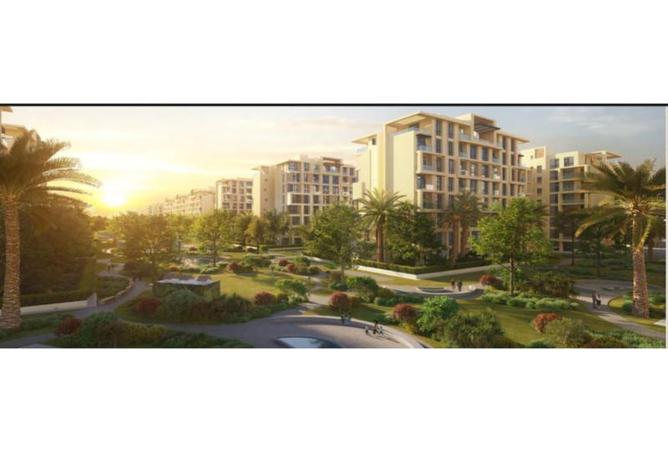 8293279 - Property Image 2