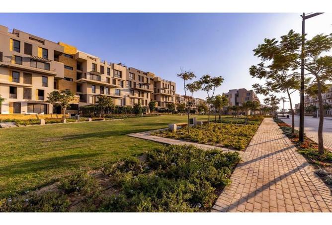 8381438 - Property Image 3