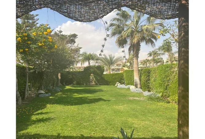 8392956 - صورة العقار 3