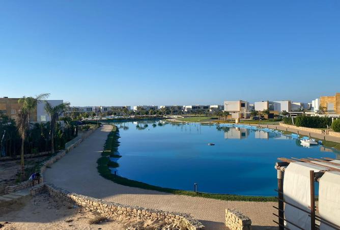 8272311 - صورة العقار 2