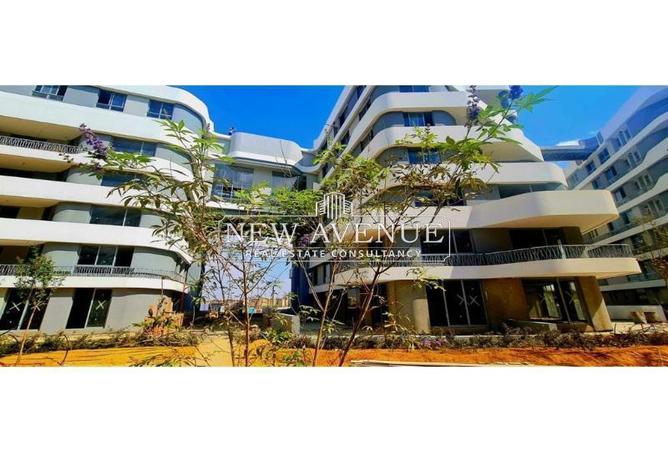 8231067 - Property Main Image