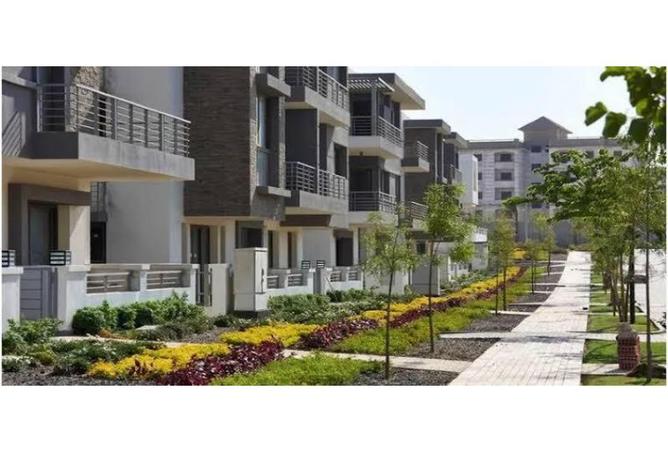 8375992 - Property Image 3