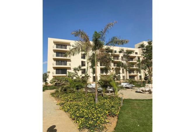 8398659 - صورة العقار 3