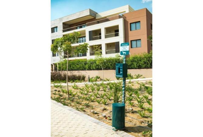 8392862 - Property Image 3