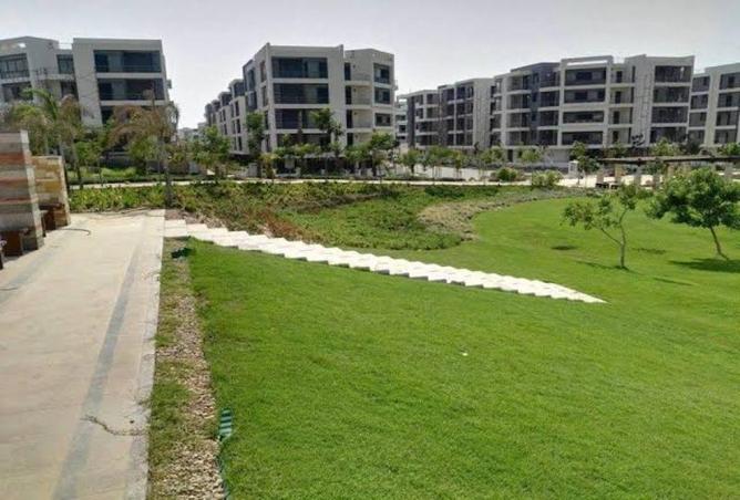 8305602 - Property Image 3