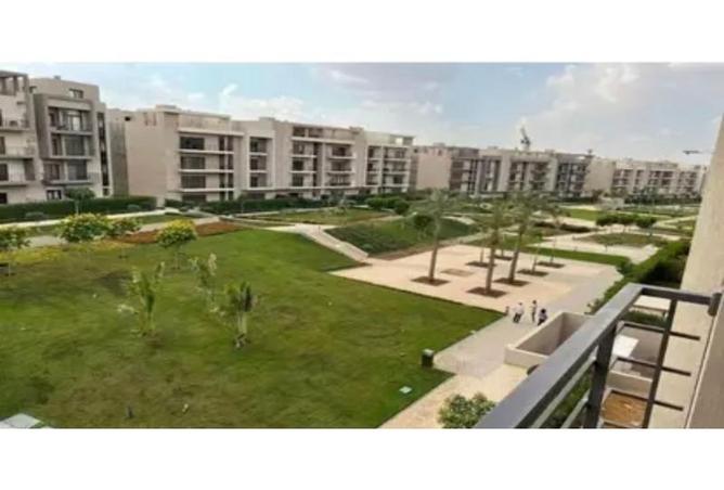 8305586 - Property Image 3