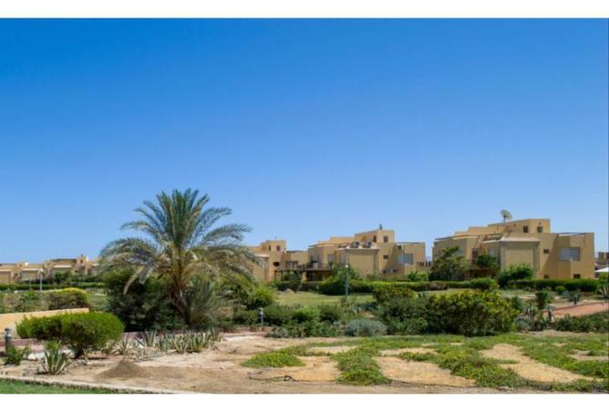 8332117 - Property Image 3