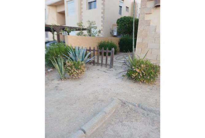 8309991 - Property Image 3