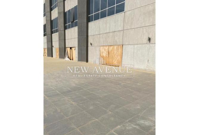 8316319 - صورة العقار 3