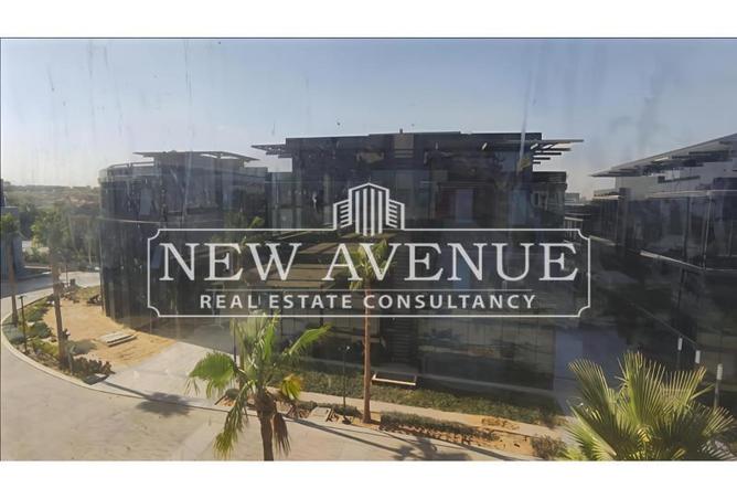 7901175 - صورة العقار 3