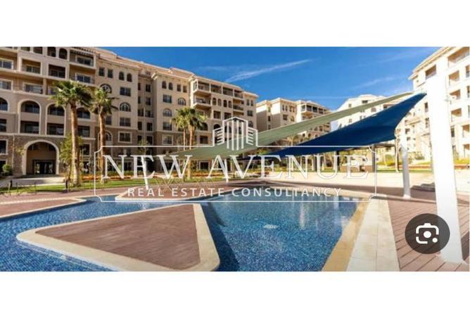 8338279 - Property Image 3