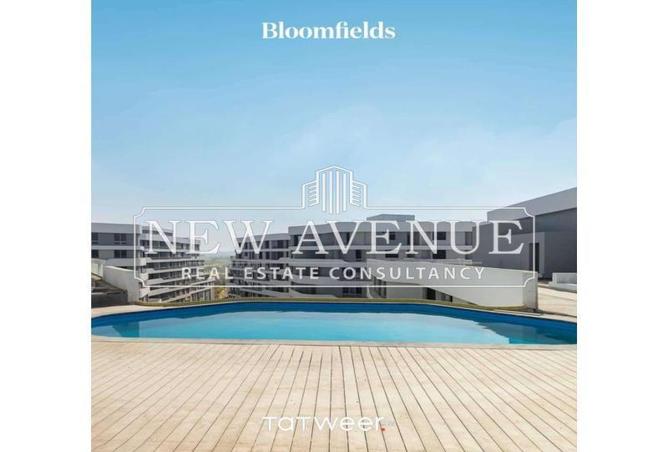 8234135 - صورة العقار 3