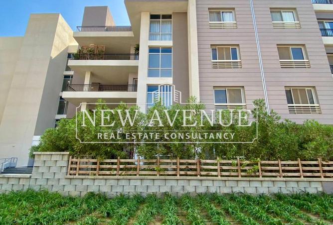 8253047 - صورة العقار 2