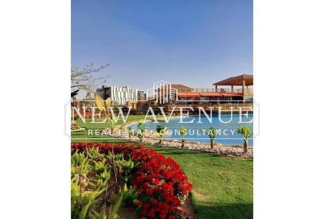 8357855 - Property Image 3