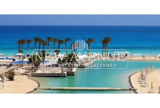 8357847 - Property Image 3