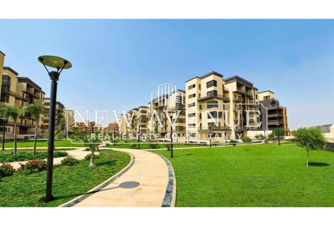 8454610 - Property Image 3