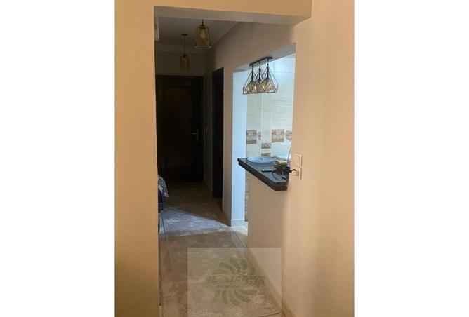 7446477 - Property Image 3