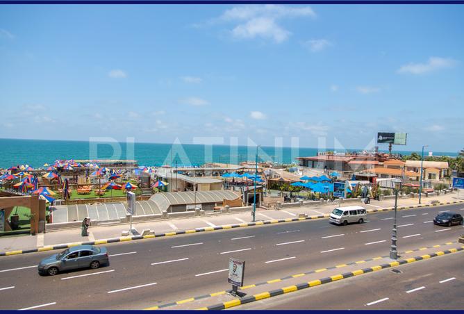 7513117 - صورة العقار 2