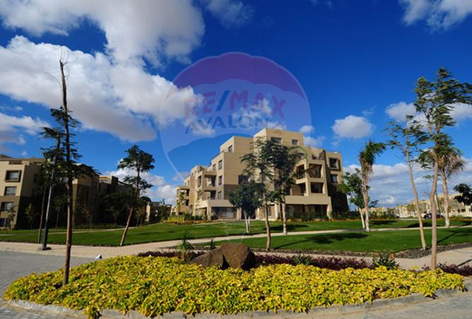 7455439 - صورة العقار 3