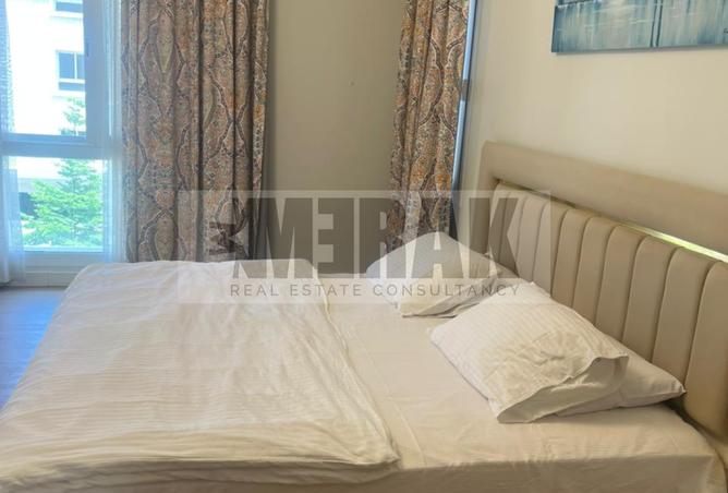 8151129 - Property Image 3