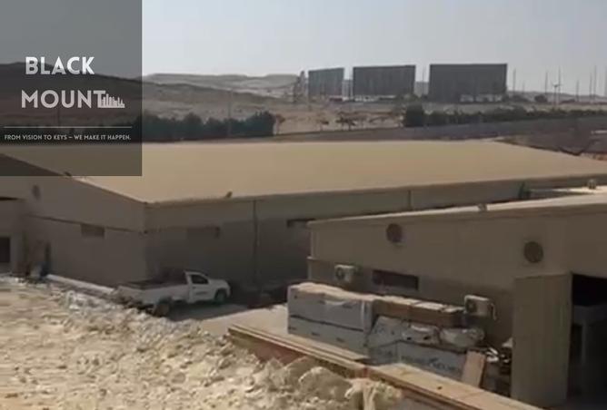 7458791 - صورة العقار 3