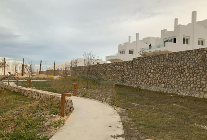 7459625 - صورة العقار 3