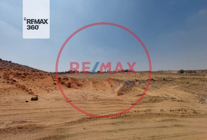 8341544 - Property Image 3