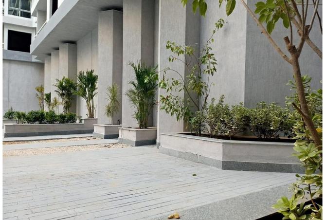 54506573 - صورة العقار 3