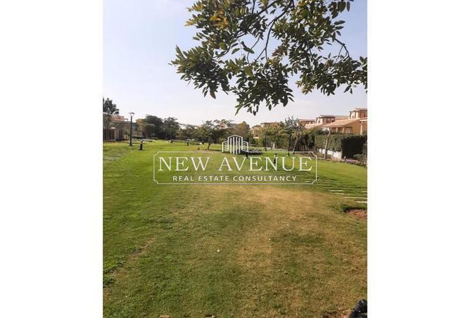 8309177 - Property Image 3