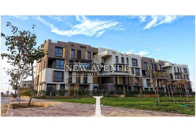 8467109 - Property Image 2