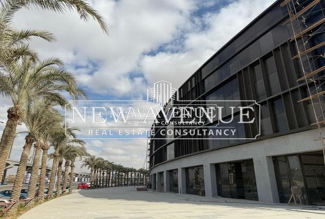 8002395 - صورة العقار 3