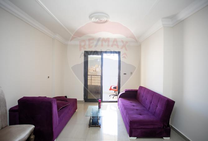 7464214 - Property Image 2